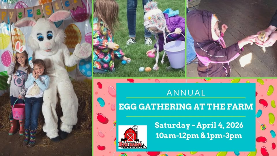 Annual Egg Gathering at the Farm