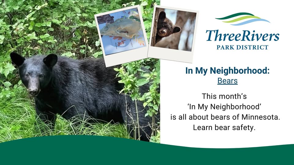 In  My Neighborhood: Bears
