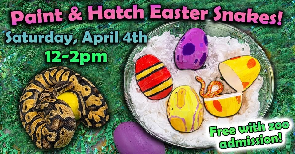 🐍🥚 Paint & Hatch Easter Snakes! 🥚🐍