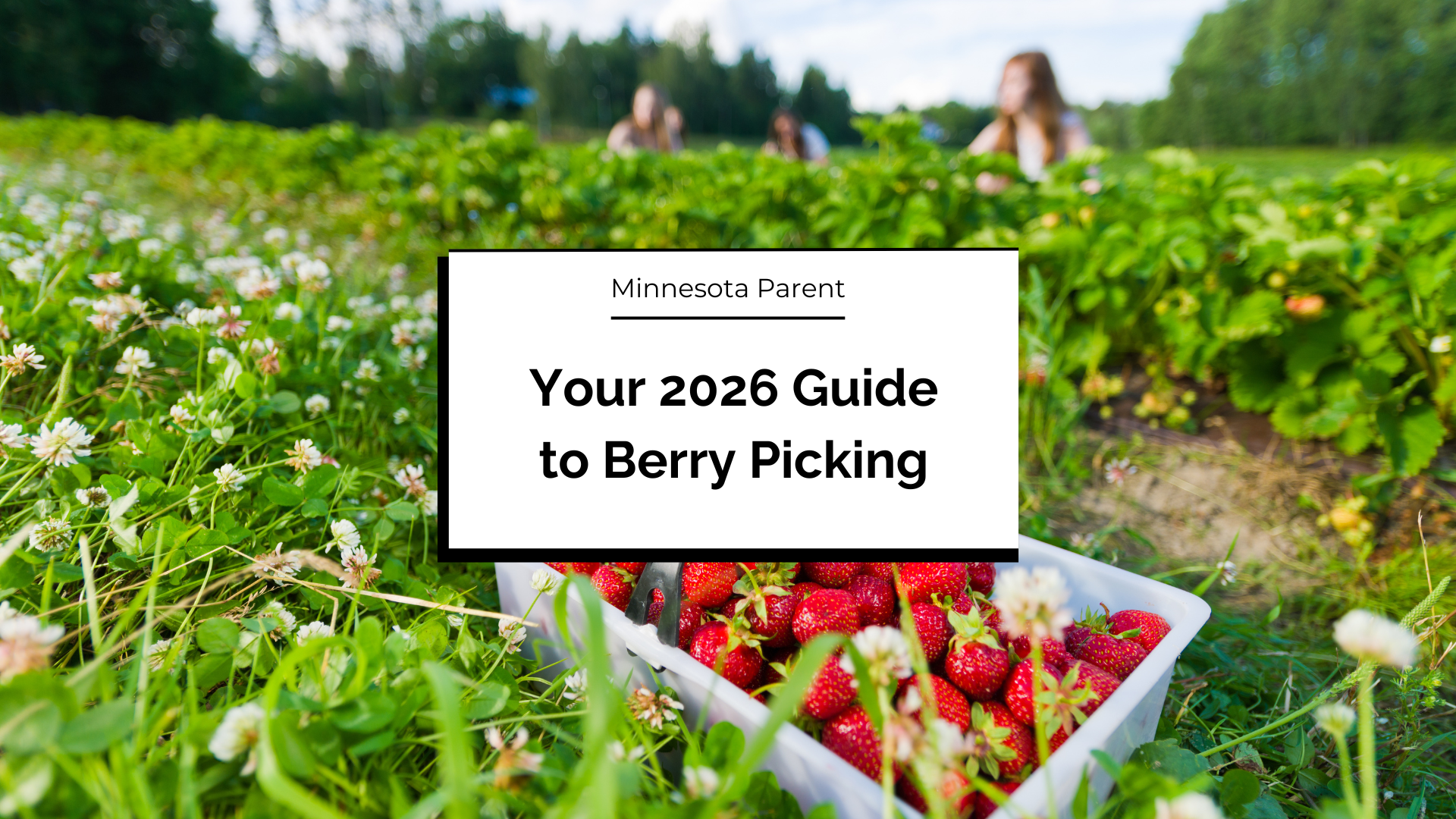 Guide to Berry Picking in the Twin Cities