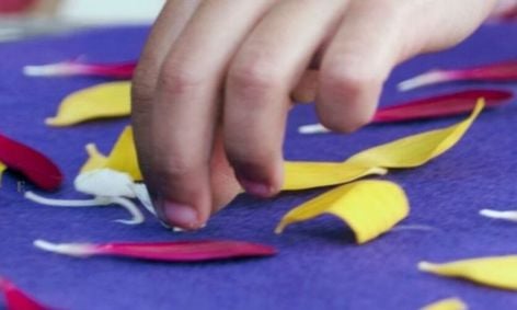 Mandalas & Discoveries: Free Children’s Nature Play Pop-Up