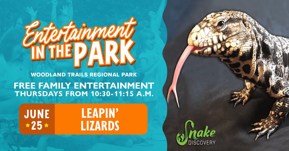 Leapin’ Lizards | Entertainment in the Park