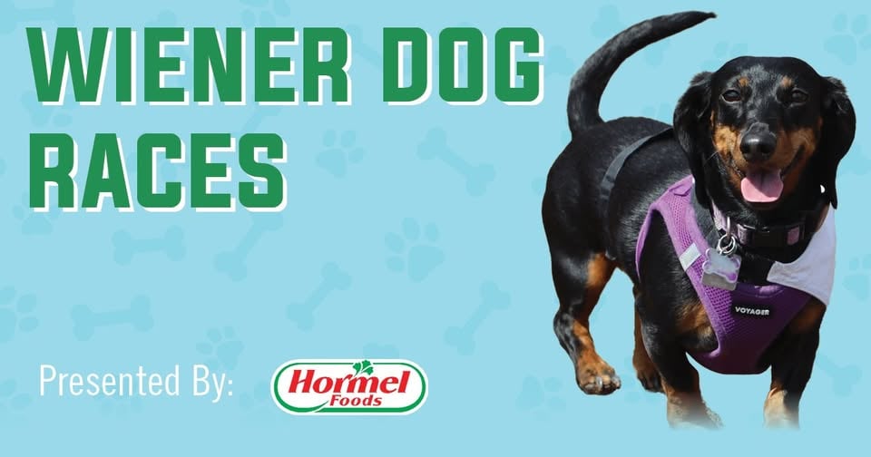 Wiener Dog Races