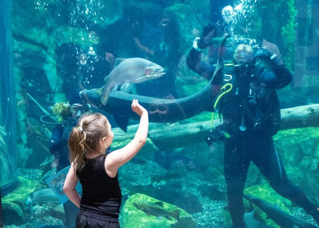 girl at aquarium with diver