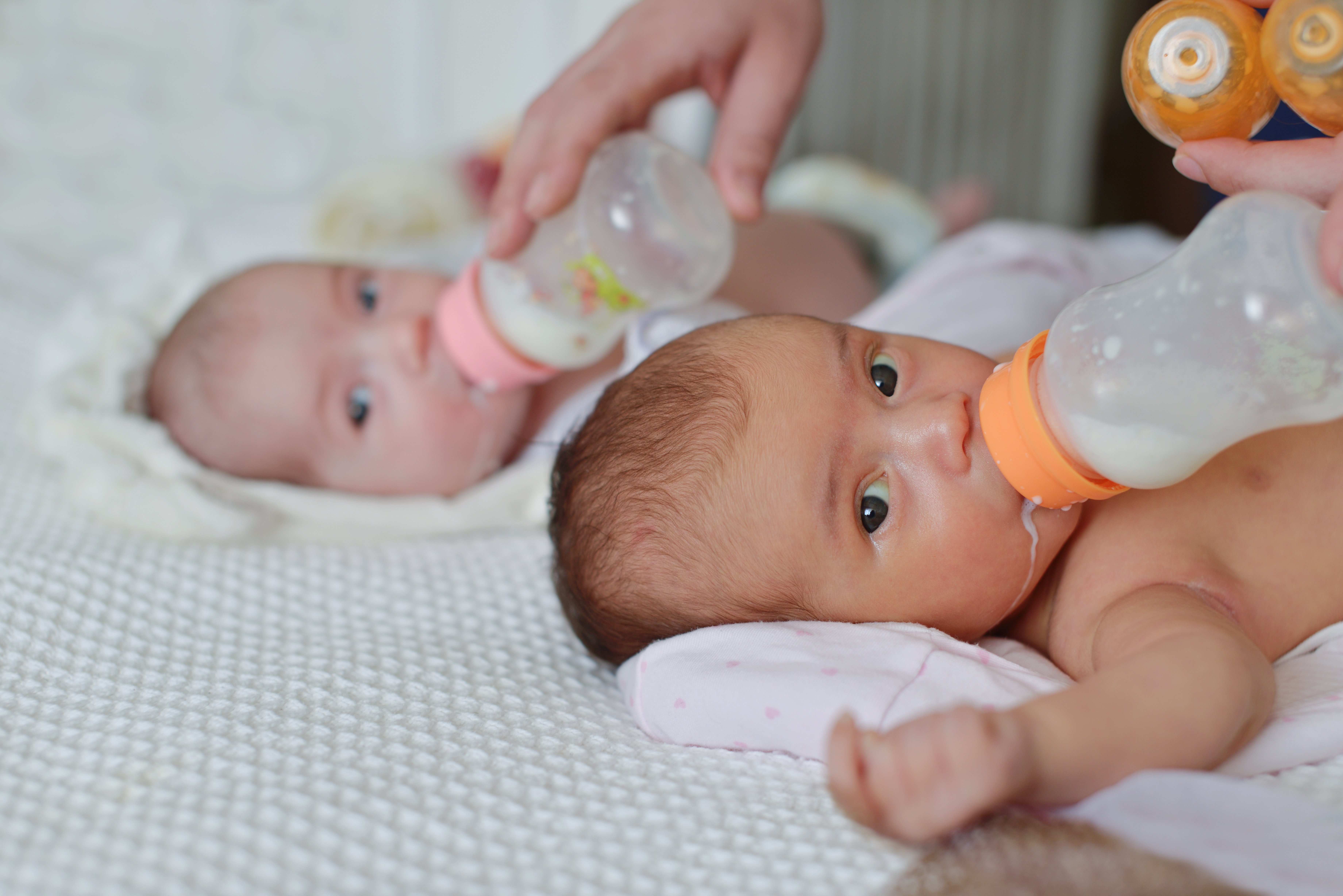 More than one newborn!