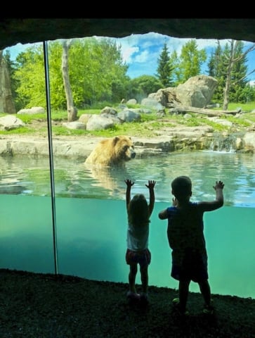 Zoo keepers - Minnesota Parent