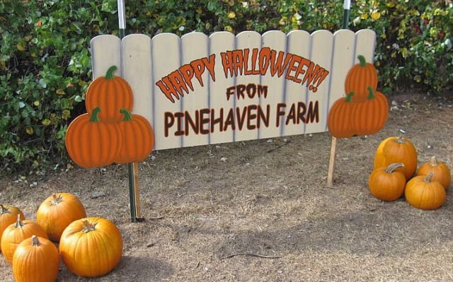 happy halloween sign at pinehaven farm in Wyoming minnesota
